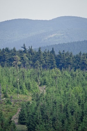 Sudety_MTB_4_5B