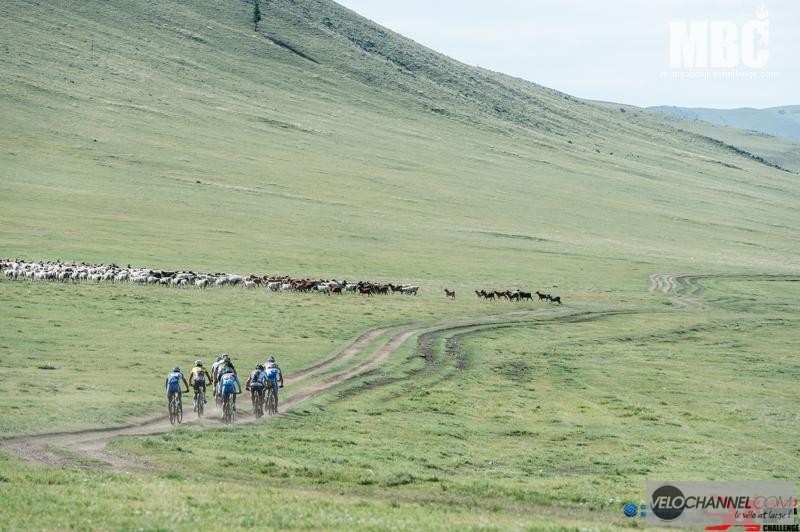 Mongolie_troupeau_moutons