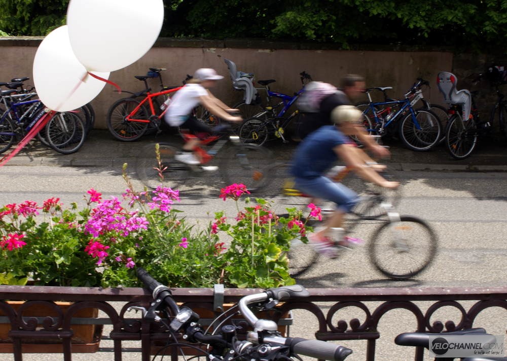 vélos sur la Route des Vins à Saint-Hippolyte