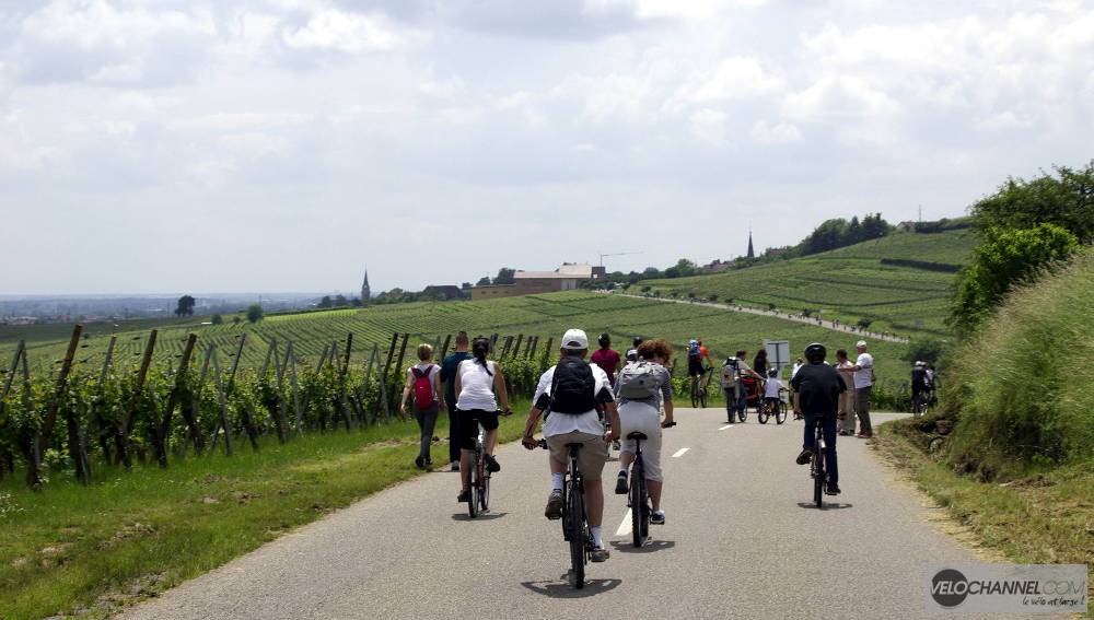 SlowUp 2016 sur la Route des Vins