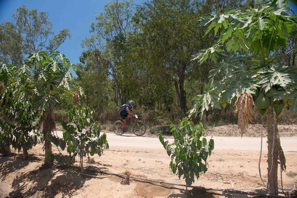 nwm-crocodile-trophy-plantations