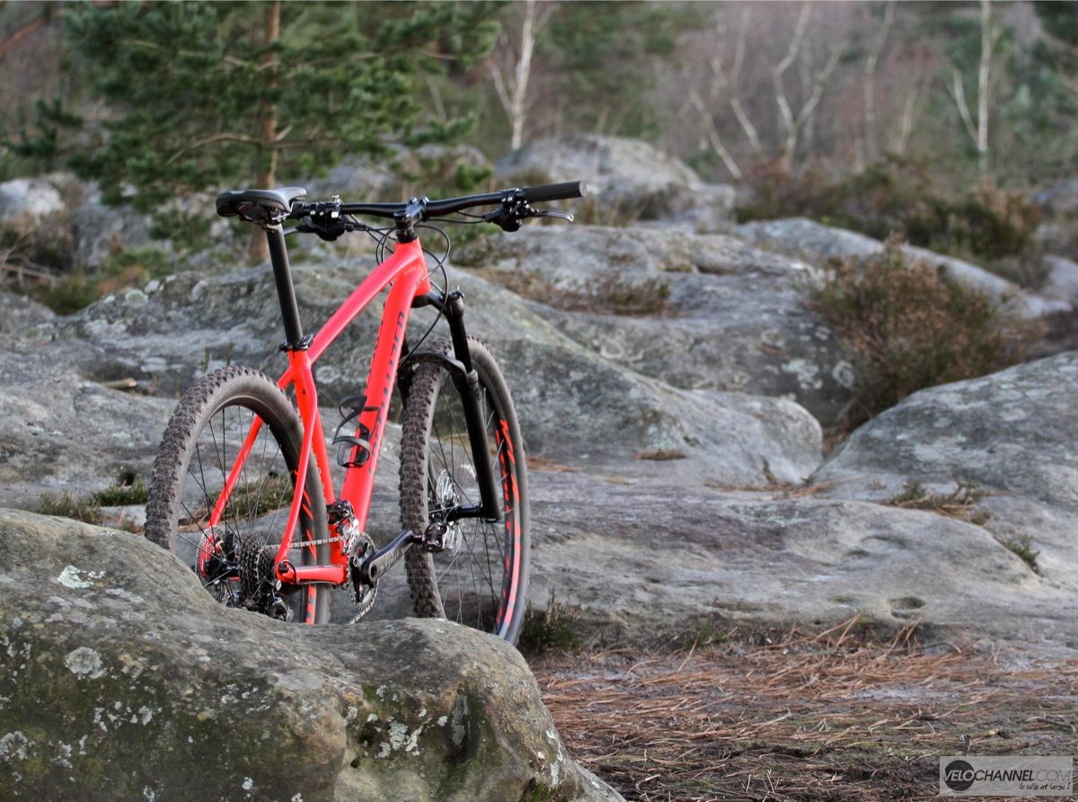 velo specialized rockhopper